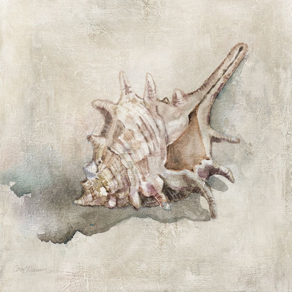 Seashell Textures I art print by Carol Robinson for $57.95 CAD