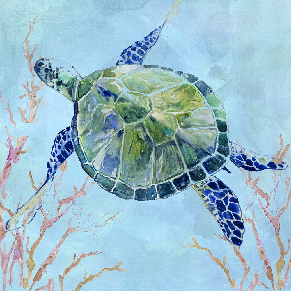 Sea Turtle II art print by Carol Robinson for $57.95 CAD