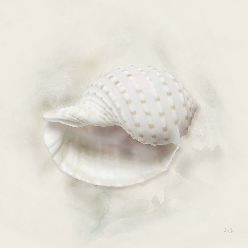 Soft Sand and Shell IV art print by Susan Jill for $57.95 CAD