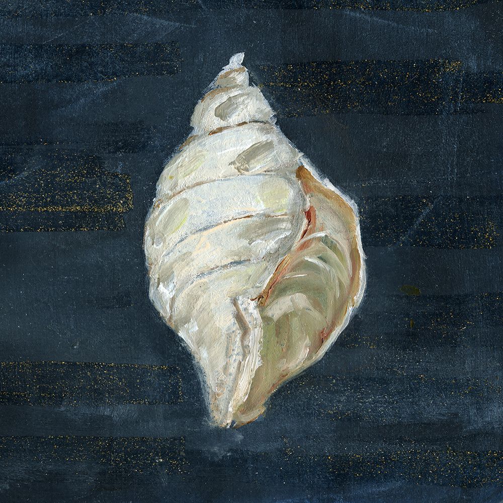 Night Shell II art print by Sally Swatland for $57.95 CAD