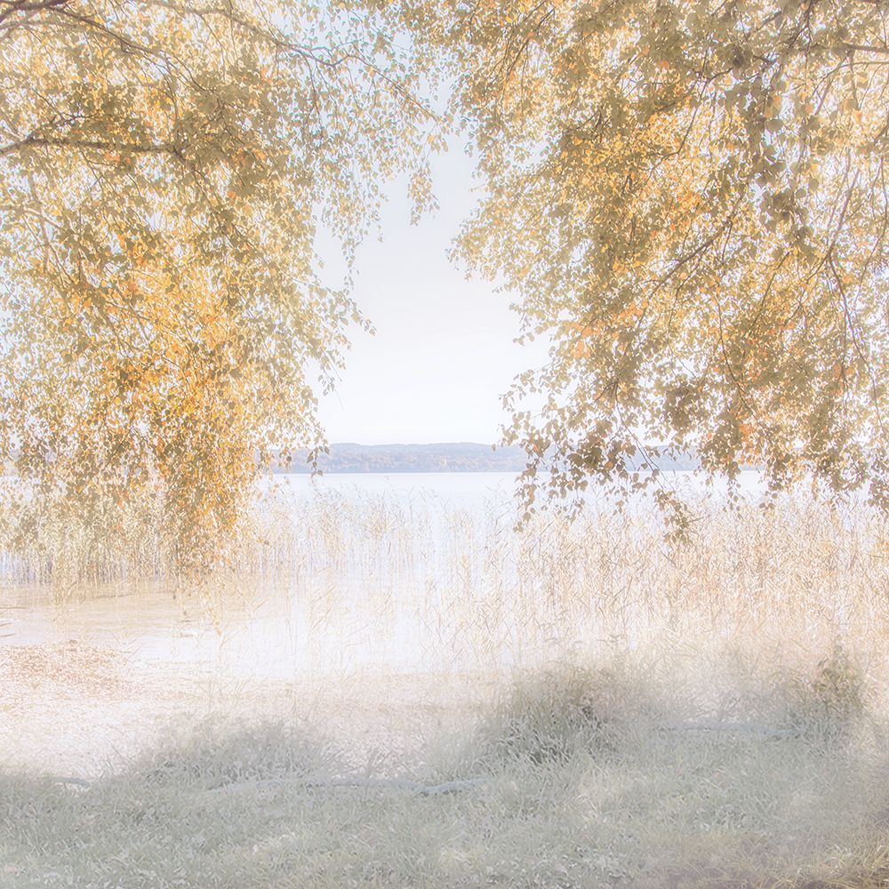 Friendly Lake art print by Irene Weisz for $57.95 CAD