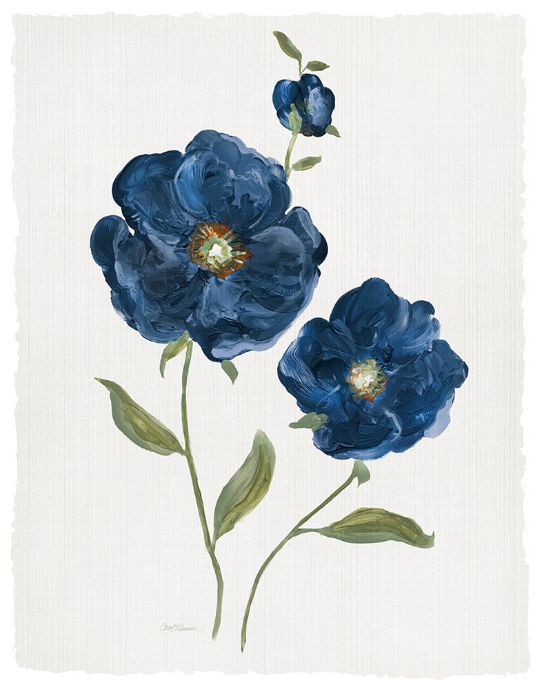 Blue Poppies art print by Carol Robinson for $57.95 CAD