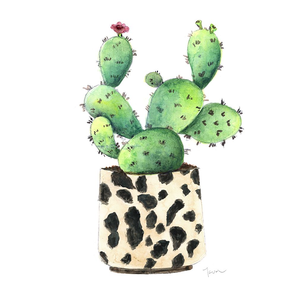 Spotted Cactus art print by Tava Studios for $57.95 CAD