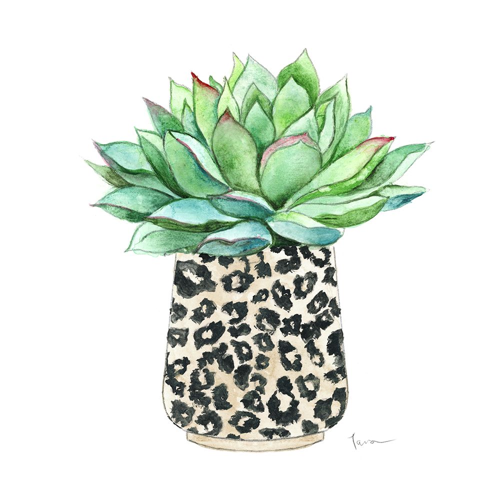 Spotted Succulent art print by Tava Studios for $57.95 CAD