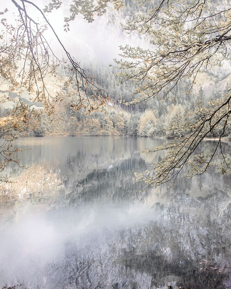 Misty Lake art print by Irene Weisz for $57.95 CAD