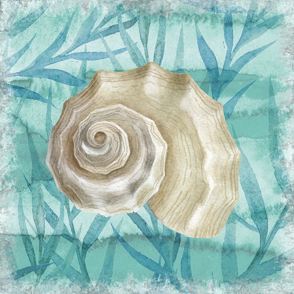 Shells Ashore I art print by Conrad Knutsen for $57.95 CAD