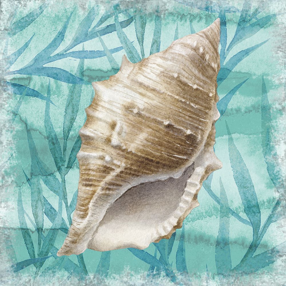 Shells Ashore II art print by Conrad Knutsen for $57.95 CAD