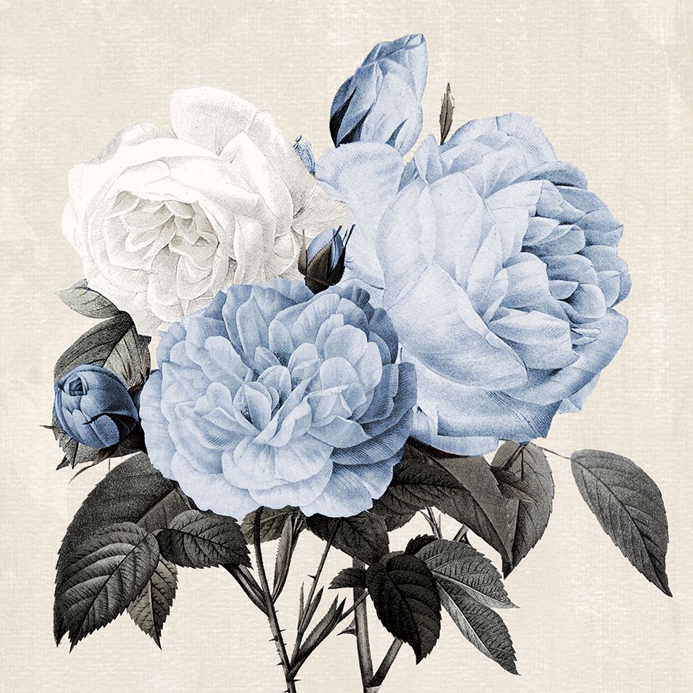 Blue Botanical Arrangement I art print by Kelly Donovan for $57.95 CAD