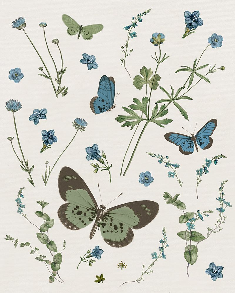 Botanical Page II art print by Kelly Donovan for $57.95 CAD