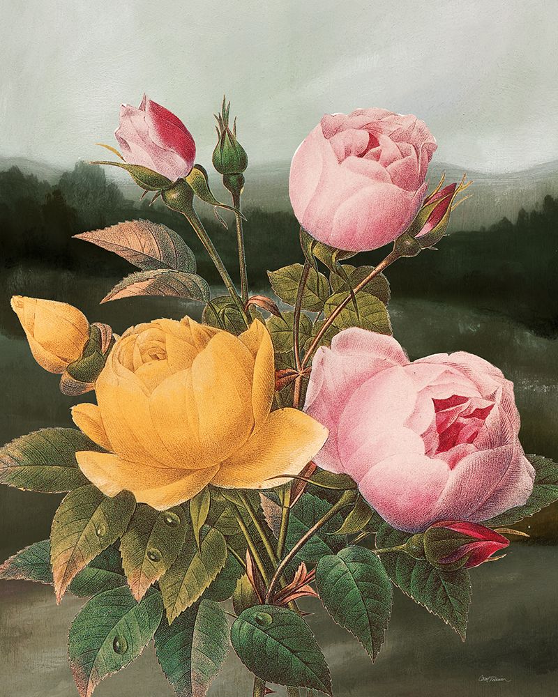 Botanical Landscape II art print by Carol Robinson for $57.95 CAD