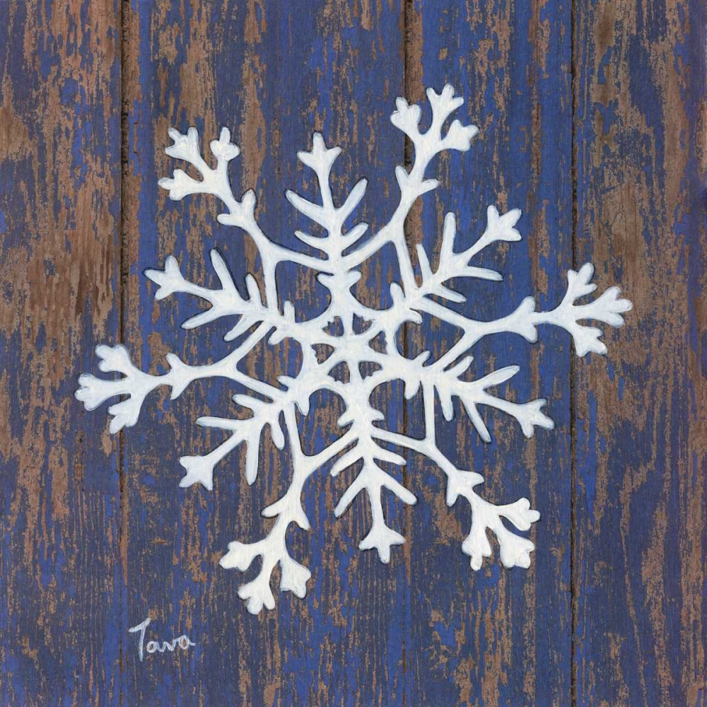 Stencil Snowflake art print by Janet Tava for $57.95 CAD