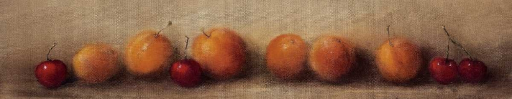 Apricots and Cherries art print by Judith Levin for $57.95 CAD