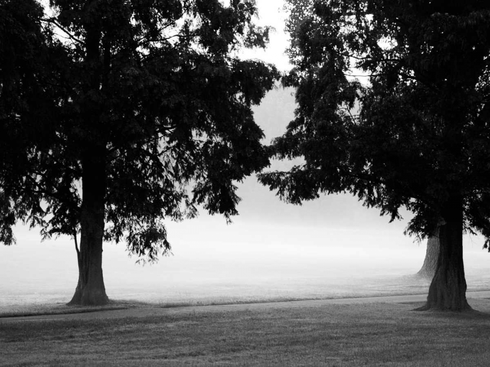 Fog in the Park II art print by Gary Bydlo for $57.95 CAD