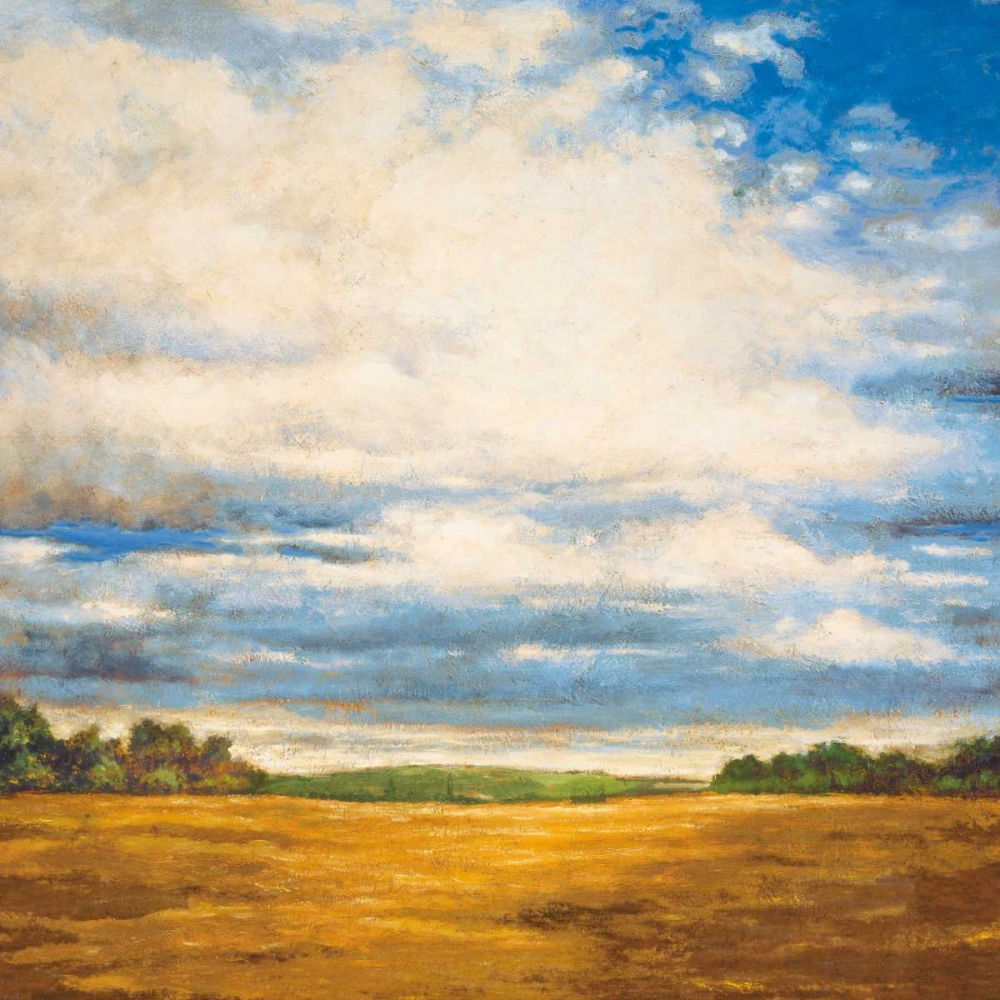 Tranquil Meadow art print by Zenon Burdy for $57.95 CAD