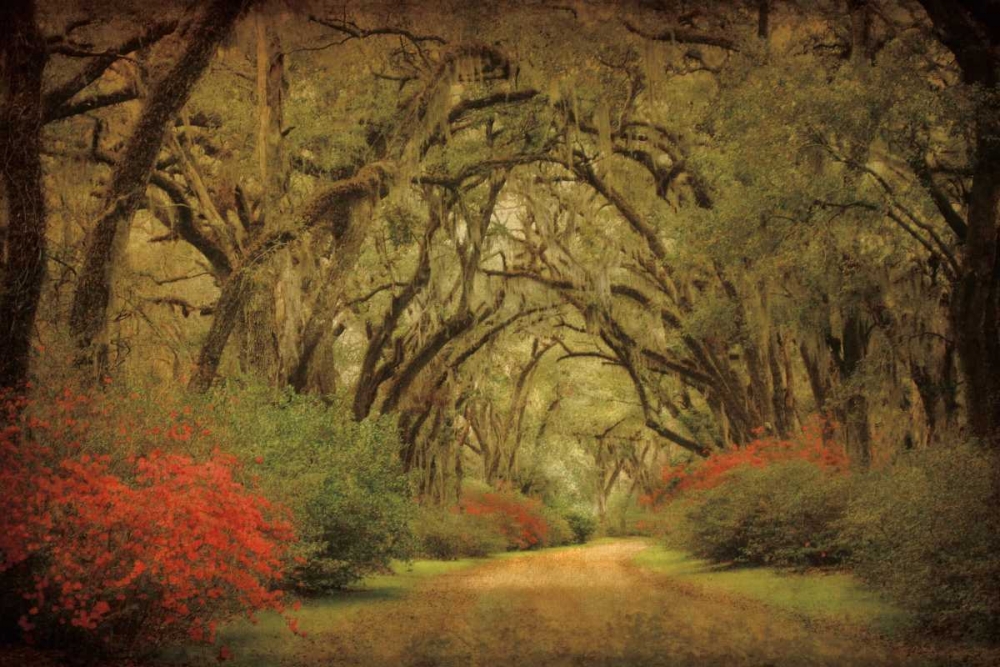 Road Lined With Oaks and Flowers  art print by William Guion for $57.95 CAD