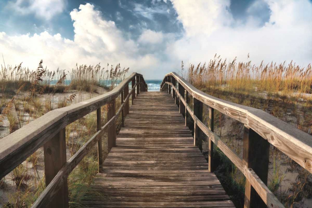 Path To Paradise art print by Michael Cahill for $57.95 CAD