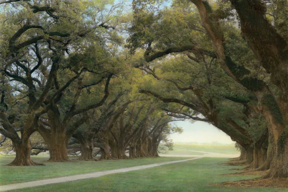 Alley of the Oaks art print by William Guion for $57.95 CAD