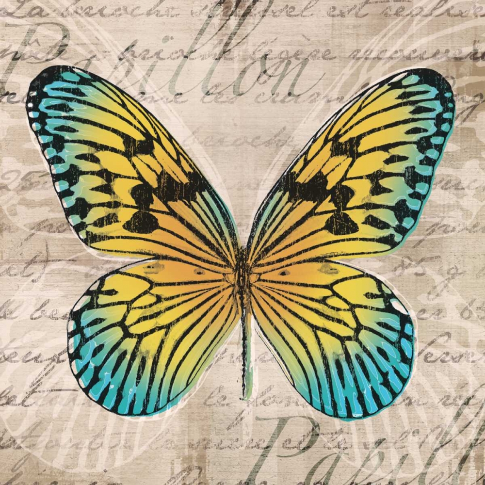 Butterflies I art print by Tandi Venter for $57.95 CAD