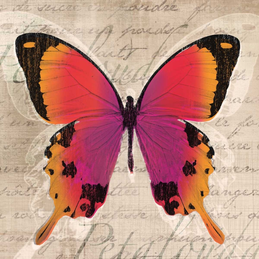 Butterflies III art print by Tandi Venter for $57.95 CAD