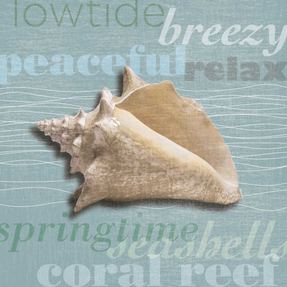 Beach Collection IV art print by Tandi Venter for $57.95 CAD
