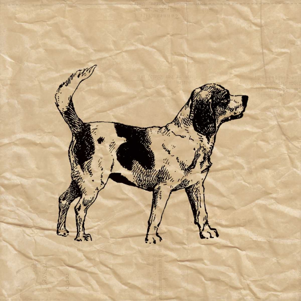 Beagle art print by Sabine Berg for $57.95 CAD