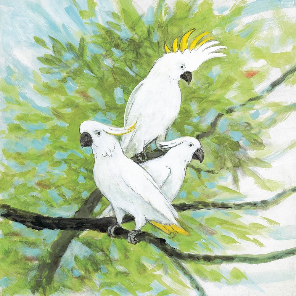 Cockatoos art print by Arnie Fisk for $57.95 CAD