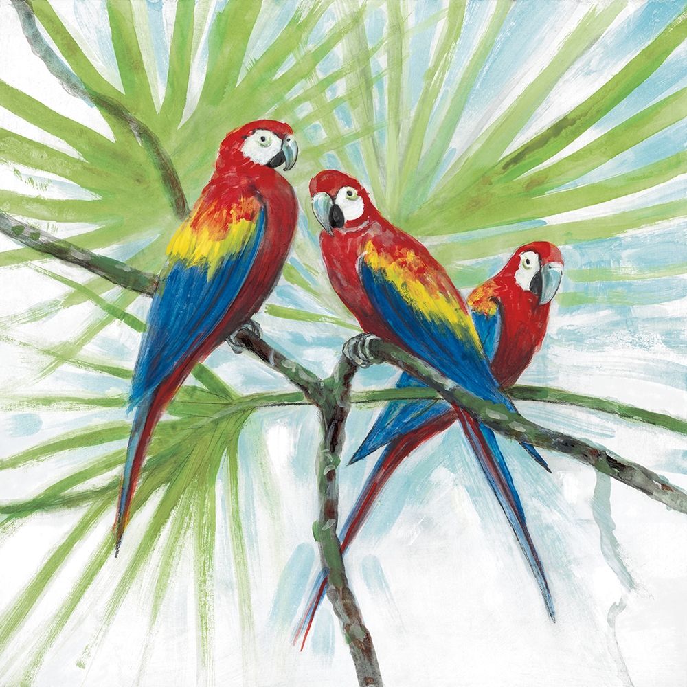 Parrots art print by Arnie Fisk for $57.95 CAD
