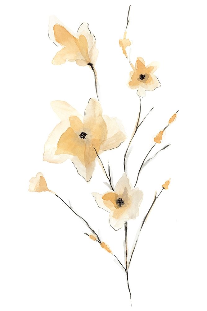 Morning Glory II art print by Corrie Golden for $57.95 CAD