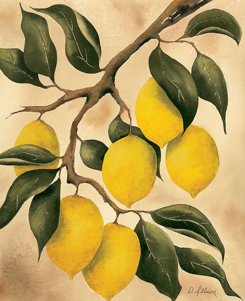 Italian Harvest â€“ Lemons art print by Doris Allison for $57.95 CAD