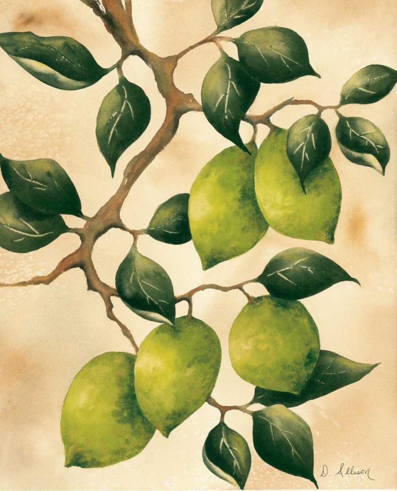 Italian Harvest - Limes art print by Doris Allison for $57.95 CAD