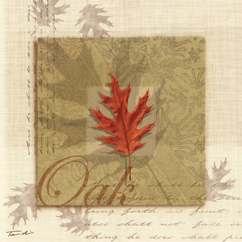 Oak art print by Tandi Venter for $57.95 CAD
