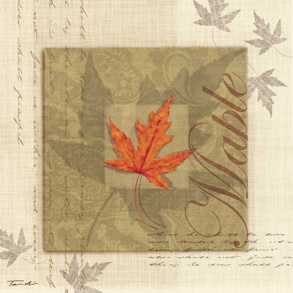 Maple art print by Tandi Venter for $57.95 CAD