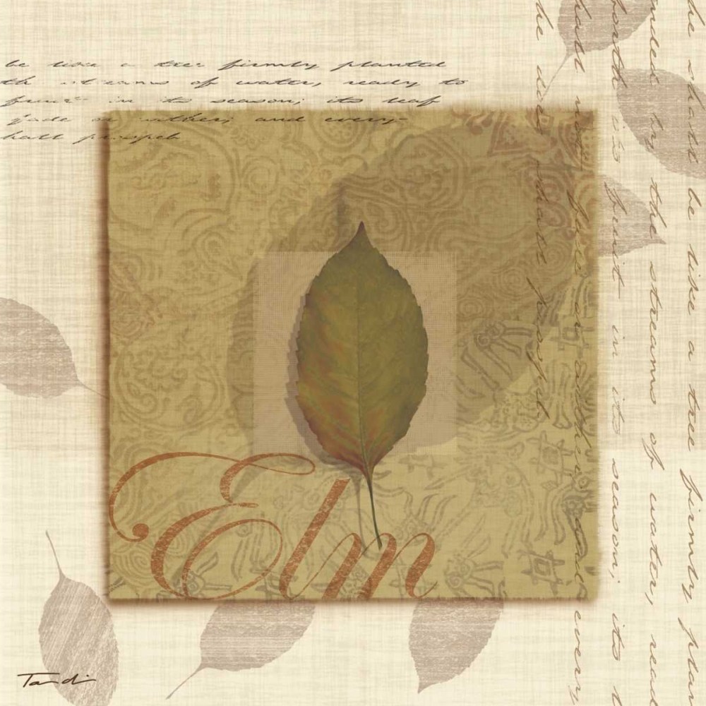 Elm art print by Tandi Venter for $57.95 CAD