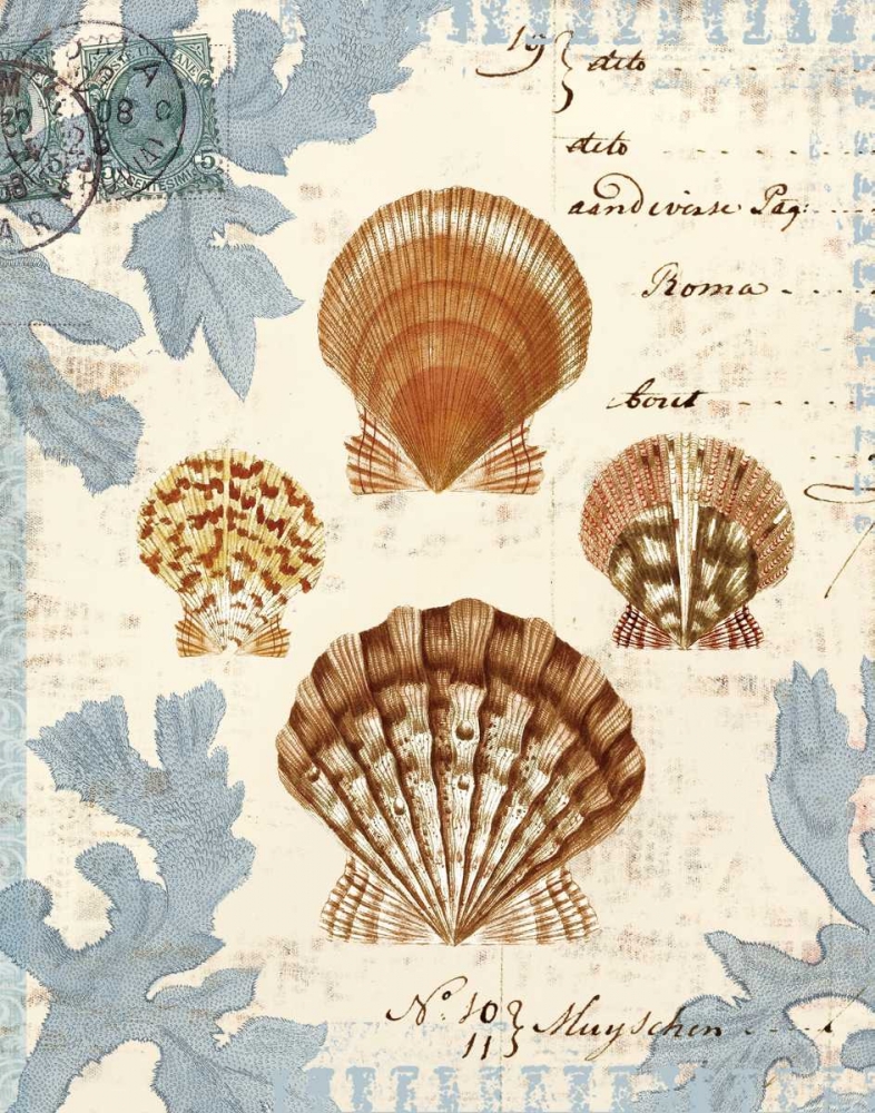 Seashell Collection I art print by Sabine Berg for $57.95 CAD