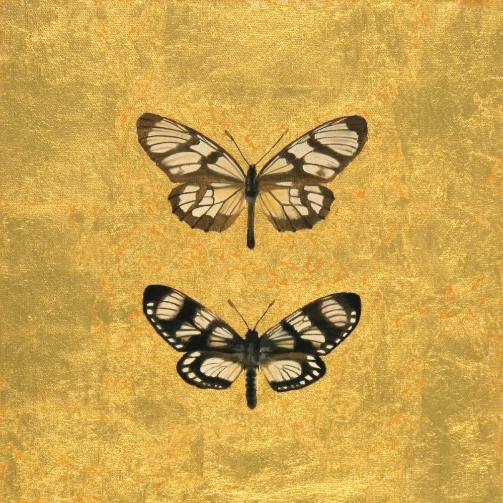 Pair of Butterflies on Gold art print by Joanna Charlotte for $57.95 CAD