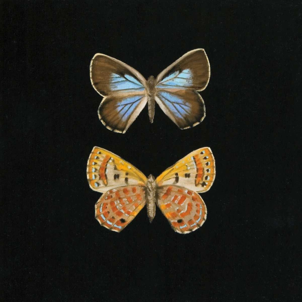 Pair of Butterflies on Black art print by Joanna Charlotte for $57.95 CAD