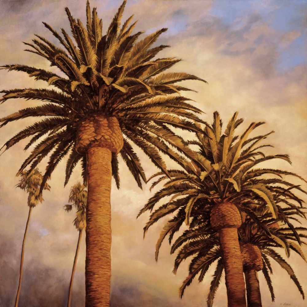 Fog Over Canary Palms art print by Rick Garcia for $57.95 CAD