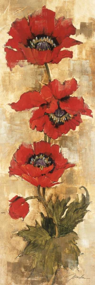 Strand of Poppies II art print by Liz Jardine for $57.95 CAD