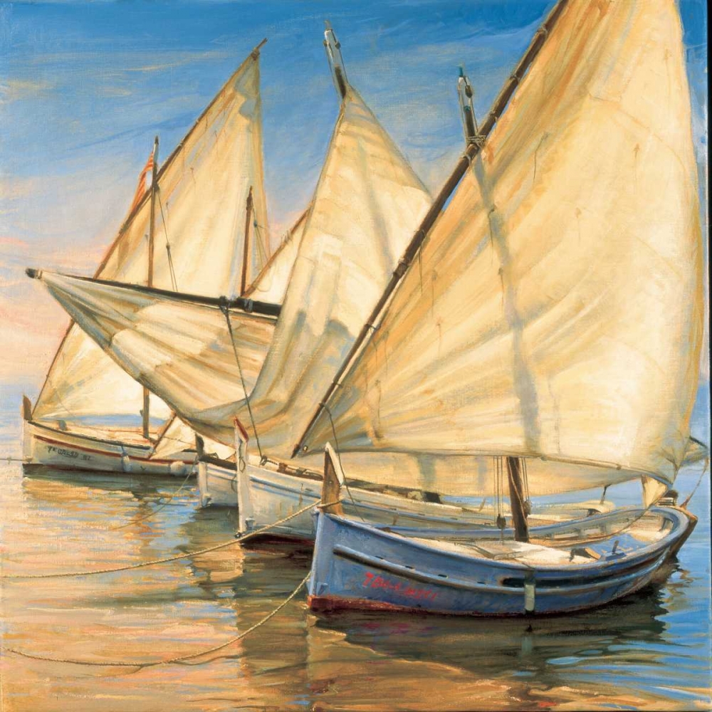 Windward Latin Sails art print by Jaume Laporta for $57.95 CAD