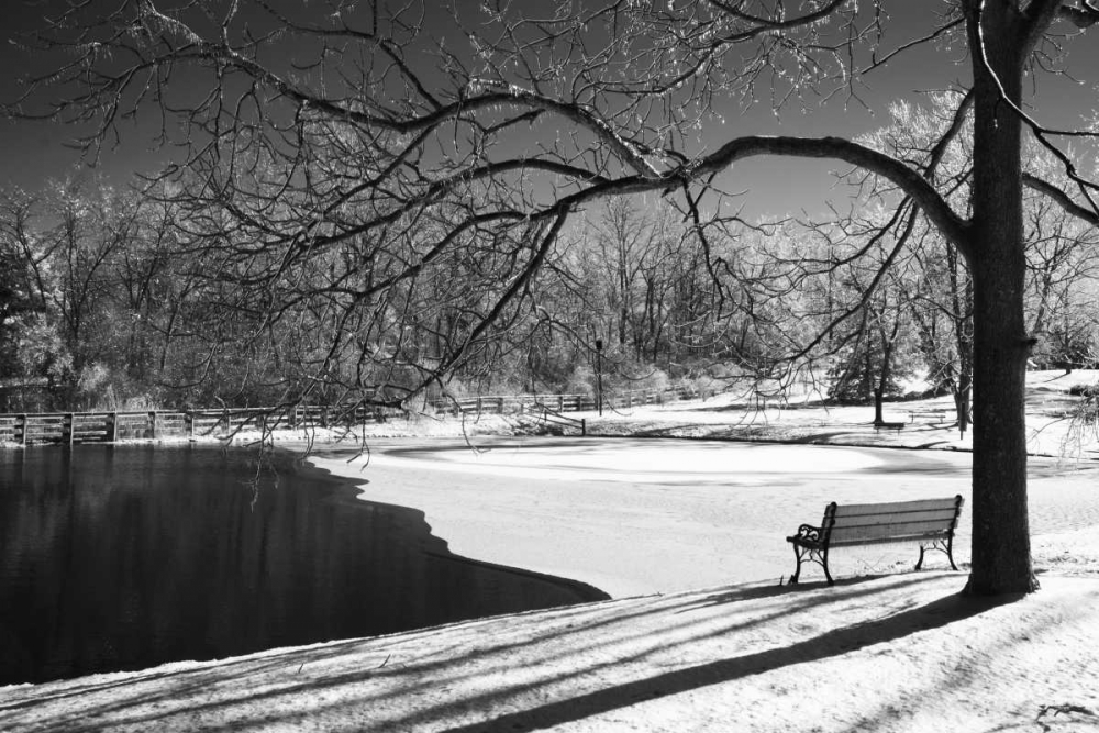 Heritage Pond in Winter art print by Monte Nagler for $57.95 CAD