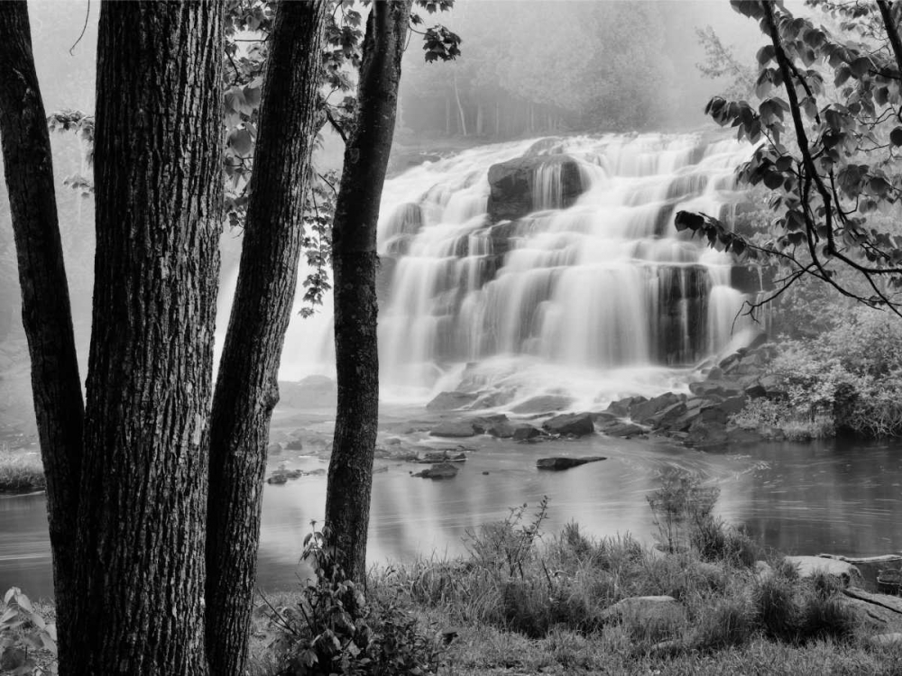 Bond Falls and Trees art print by Monte Nagler for $57.95 CAD
