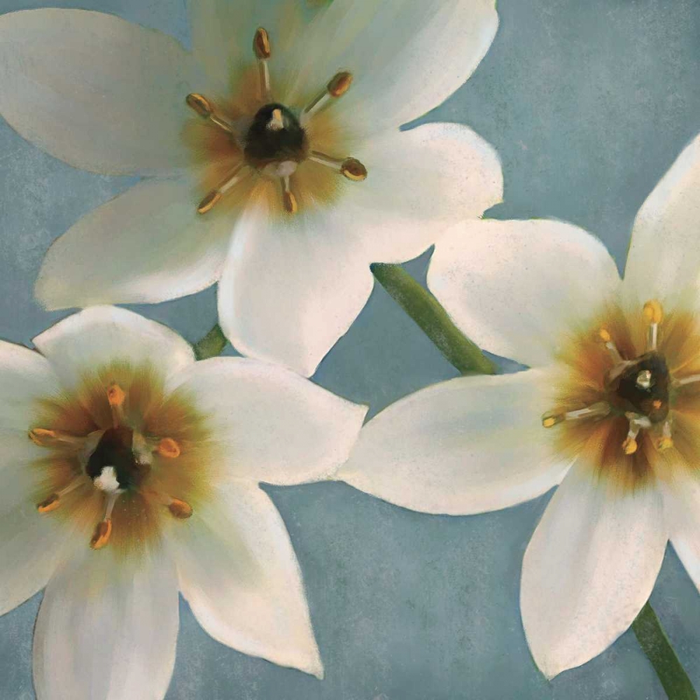Lily Parfait I art print by Janel Pahl for $57.95 CAD