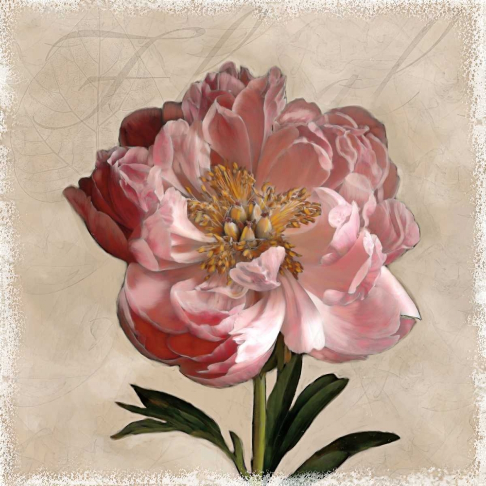Peony I art print by Janel Pahl for $57.95 CAD