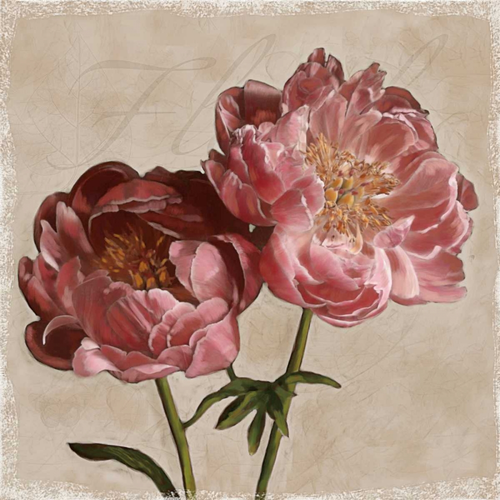 Peony II art print by Janel Pahl for $57.95 CAD