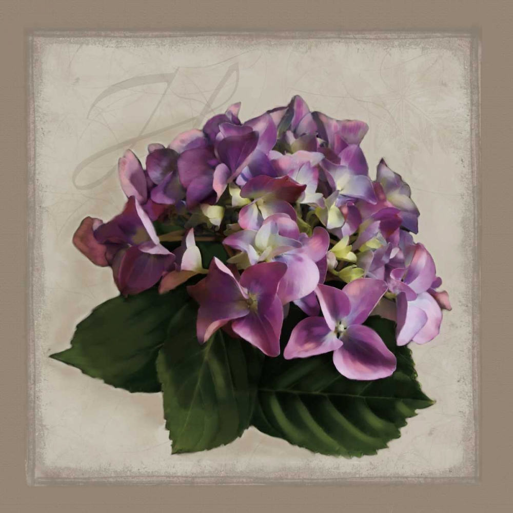 Botanical Hydrenga art print by Janel Pahl for $57.95 CAD