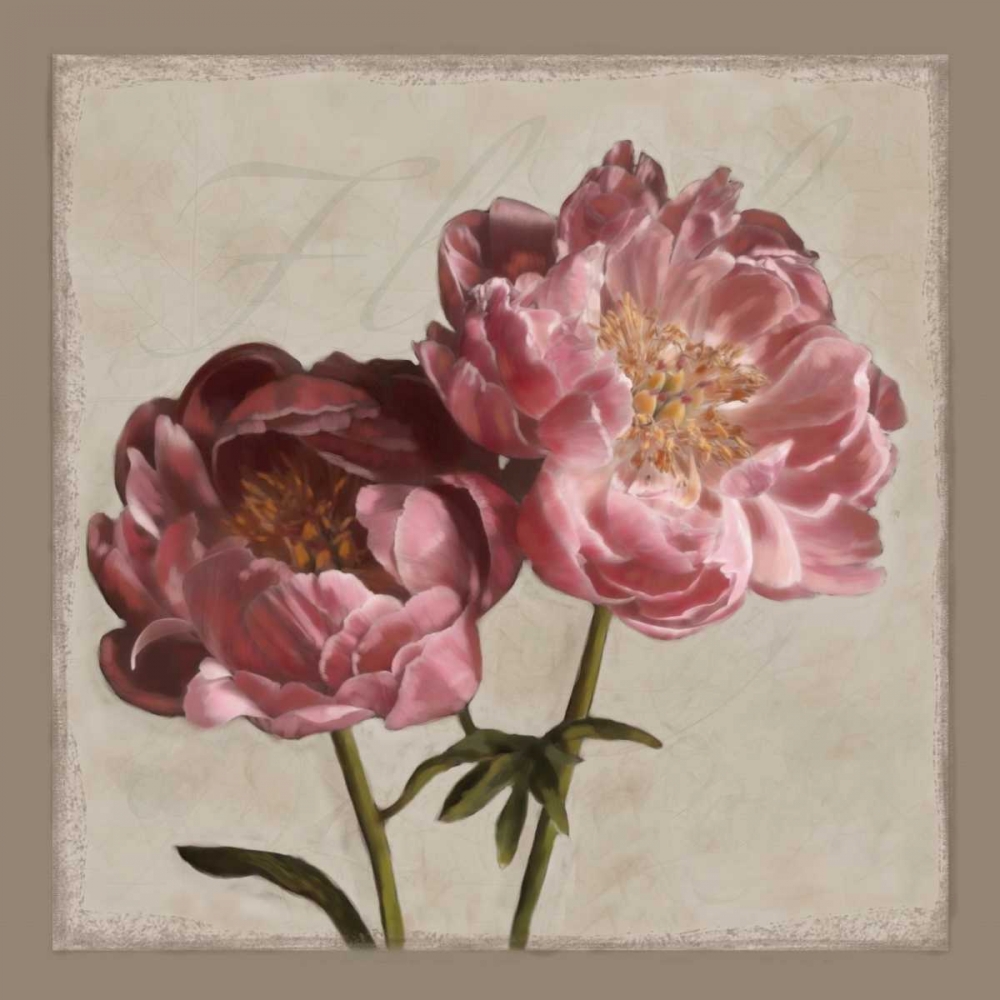 Botanical Peony art print by Janel Pahl for $57.95 CAD