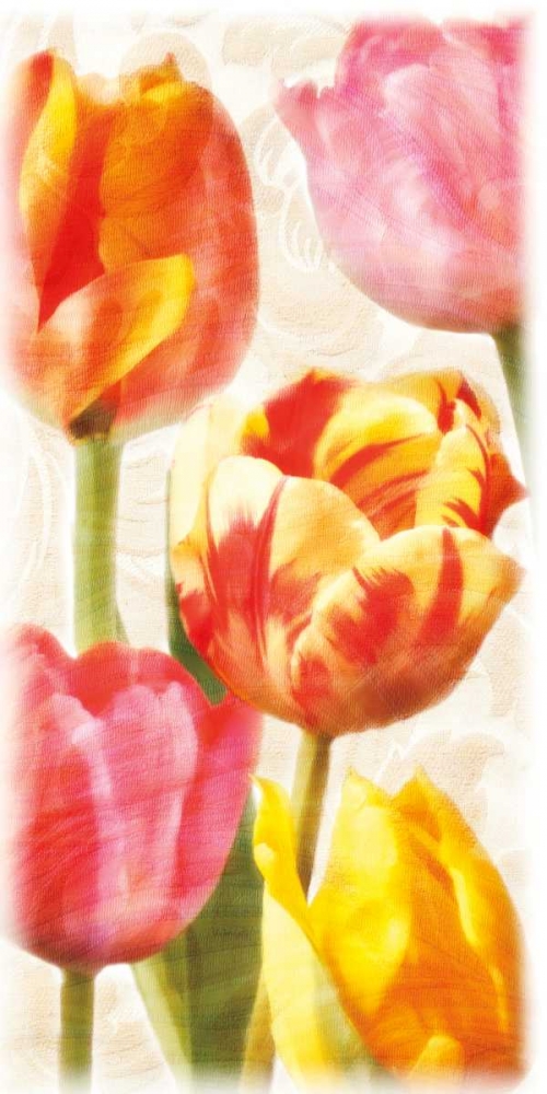 Glowing Tulips II art print by Janel Pahl for $57.95 CAD