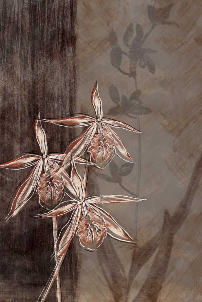 Orchid Sketch II art print by Tandi Venter for $57.95 CAD