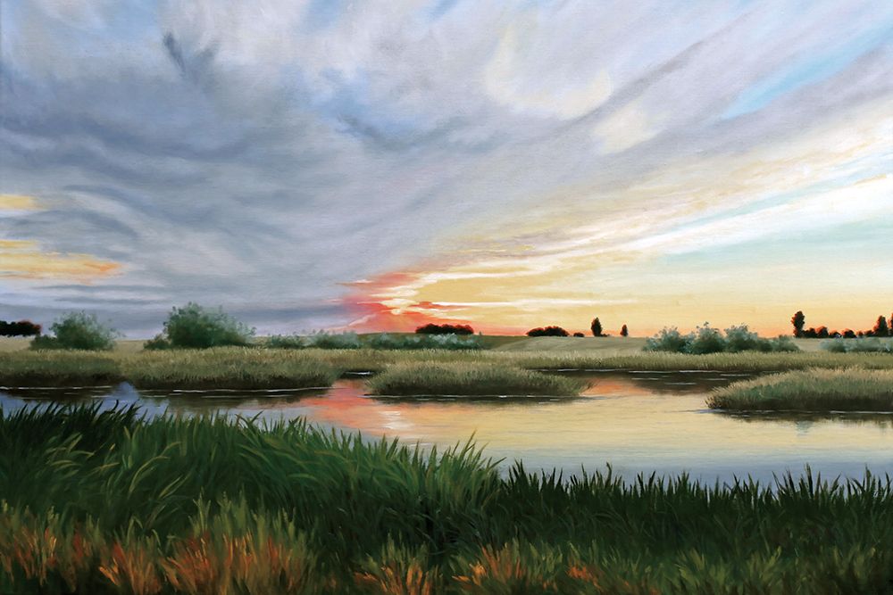 Sunrise Pond art print by Julie Peterson for $57.95 CAD