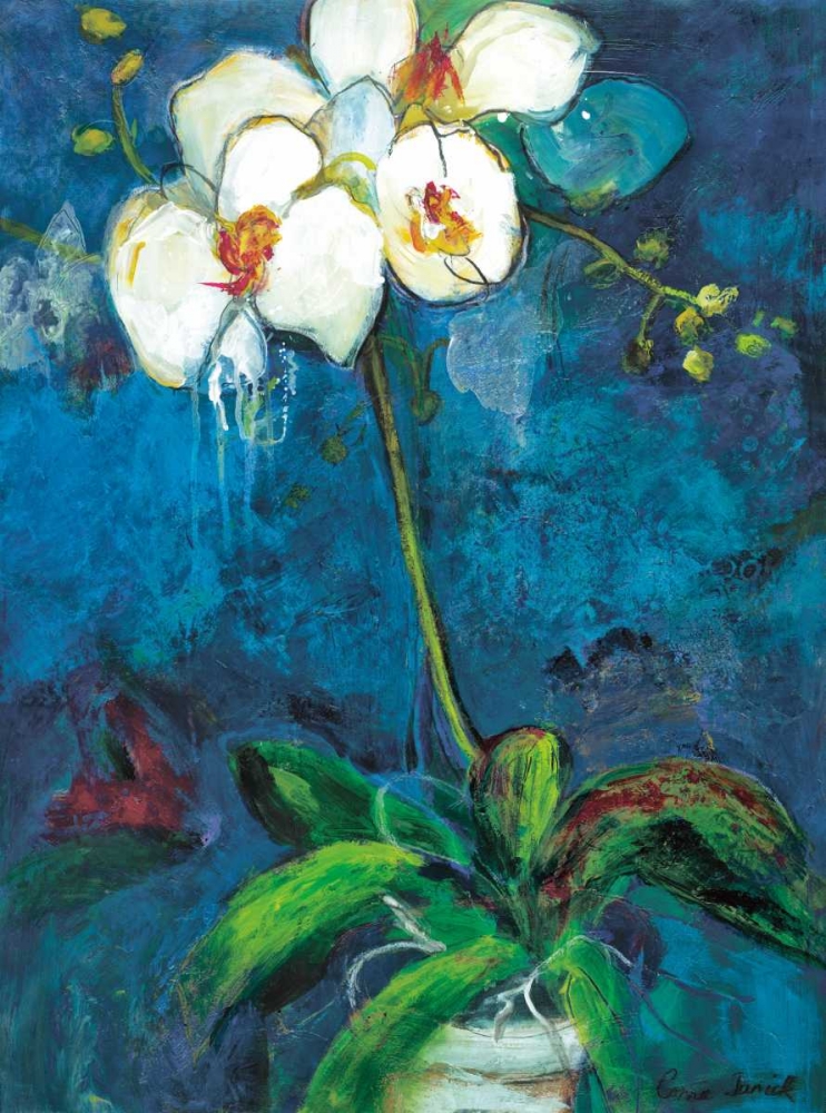 Phalaenopsis I art print by Connie Tunick for $57.95 CAD